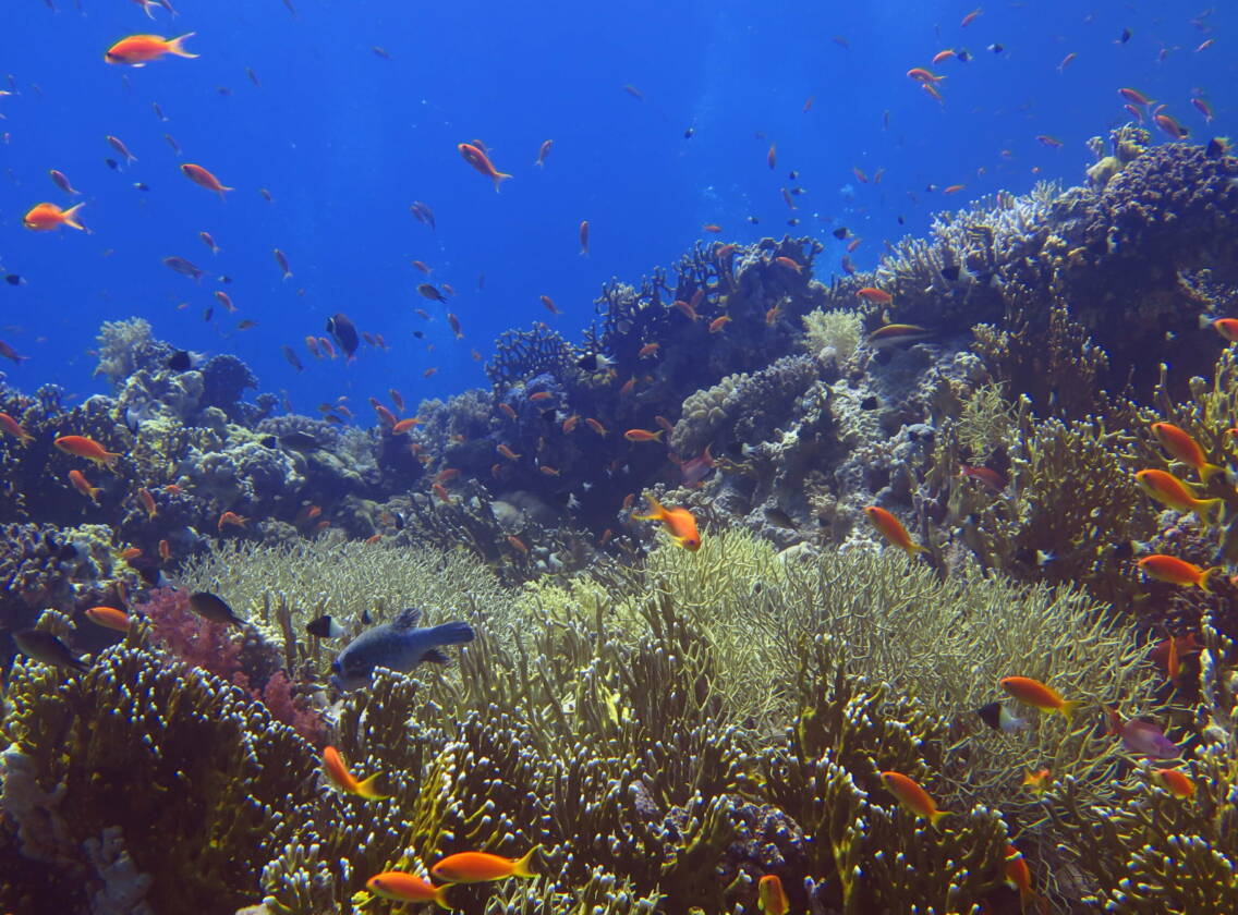 Egypt 2022 – Severní trasa